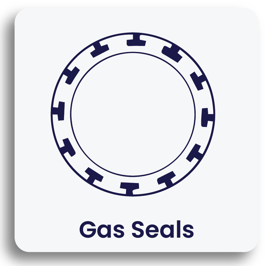 Gas Seals